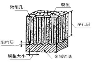 多孔氧化铝膜的结构示意图