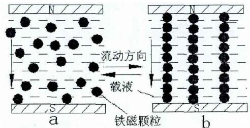 磁流变液在磁场作用下的内部结构变化