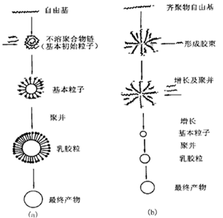 成核机理示意图