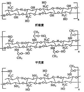 常见的纤文素结构图