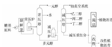 植物沥青炼化工艺