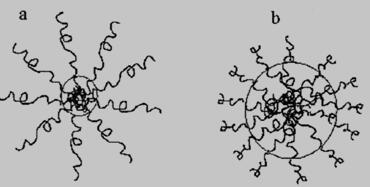 共聚物的胶束形态：a） 星型胶束     b）平头胶束