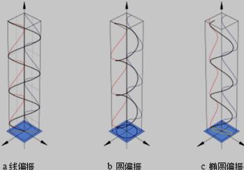 三种偏振光的电场矢量图