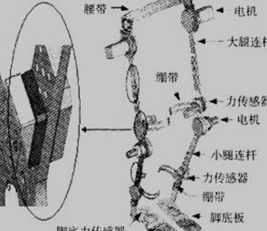 可穿戴下肢助力机器人外骨骼框架