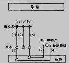 空穴转移机理模型