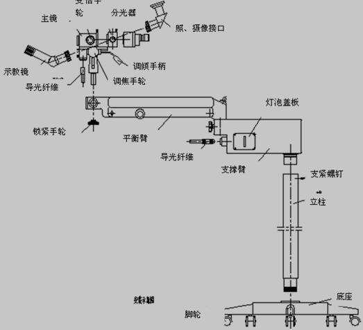 显微镜的基本组成部分