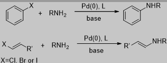 Buchwald-Hartwig 偶联反应