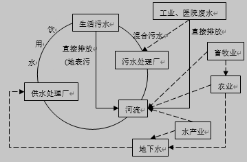 城市水循环体系中PPCPs的主要来源以及进入受纳水体的途径