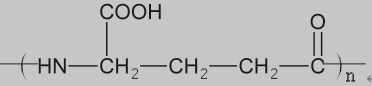  γ-PGA的分子结构