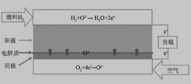 固体氧化物燃料电池电化学反应过程示意图