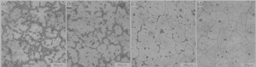 AZ80铸态组织及在不同温度在下均匀化处理16小时微观组织