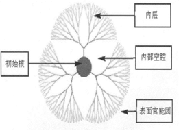 高代数大分子分子构型