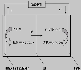 微生物燃料电池工作原理图