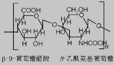 透明质酸的结构