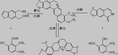 小檗碱的氧化