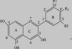 花青素化学结构