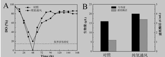 空气通气和纯氧通气对纤维素酶分批发酵的影响（A 溶氧变化曲线；B 生物量和滤纸酶活）