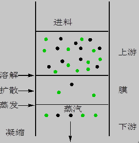 渗透汽化分离原理