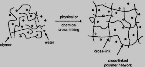 聚合物物理和化学交联形成水凝胶