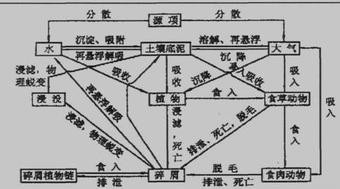 放射性核素及其衰变产物进入人体的途径